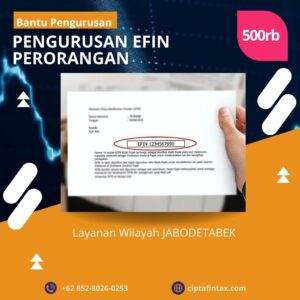 Jasa buat EFIN Perorangan