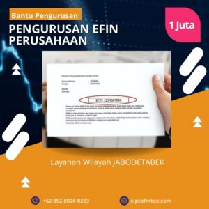 Jasa buat EFIN Perusahaan